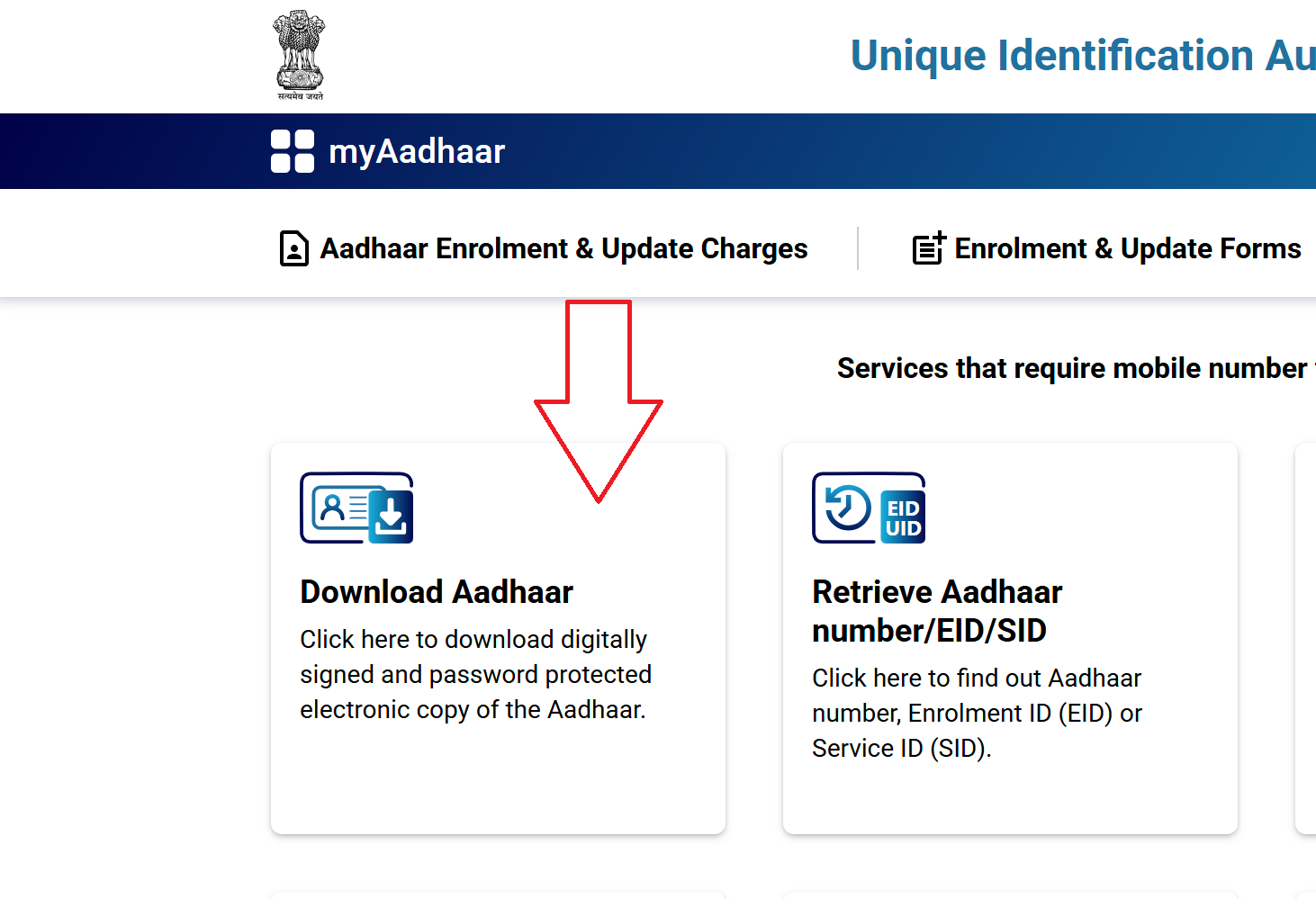 My Aadhaar portal